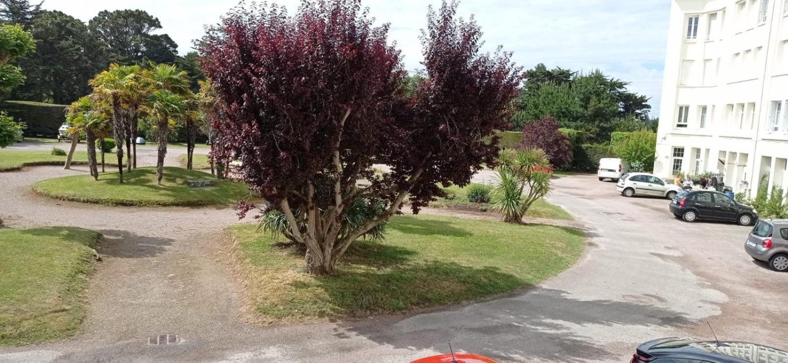 A Sables D'or Avec Vue Sur - Wi-fi Debit - Parking - Parc Prive *
